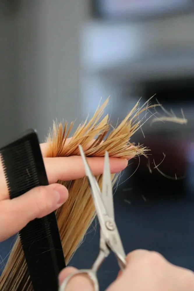 coupe cheveux